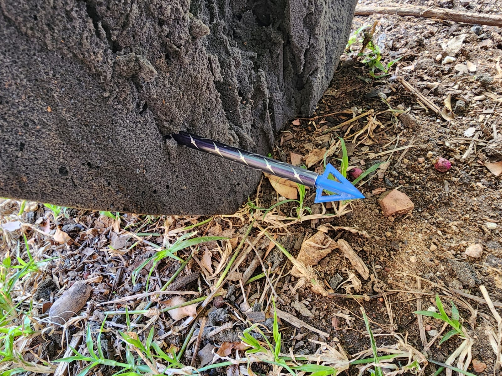 Affordable 3-Blade Hunting Broadheads (3-Pack)