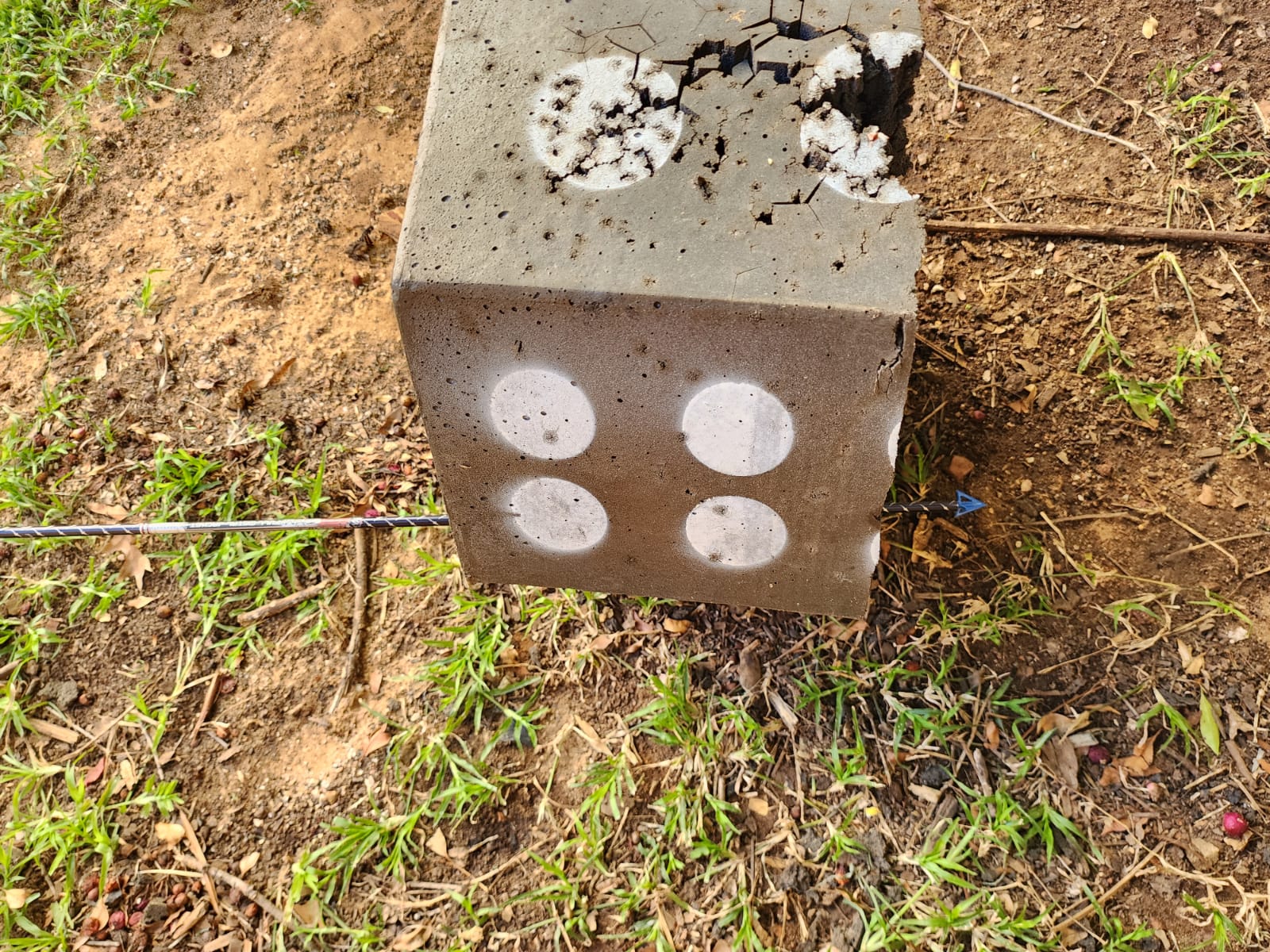 Affordable 3-Blade Hunting Broadheads (3-Pack)